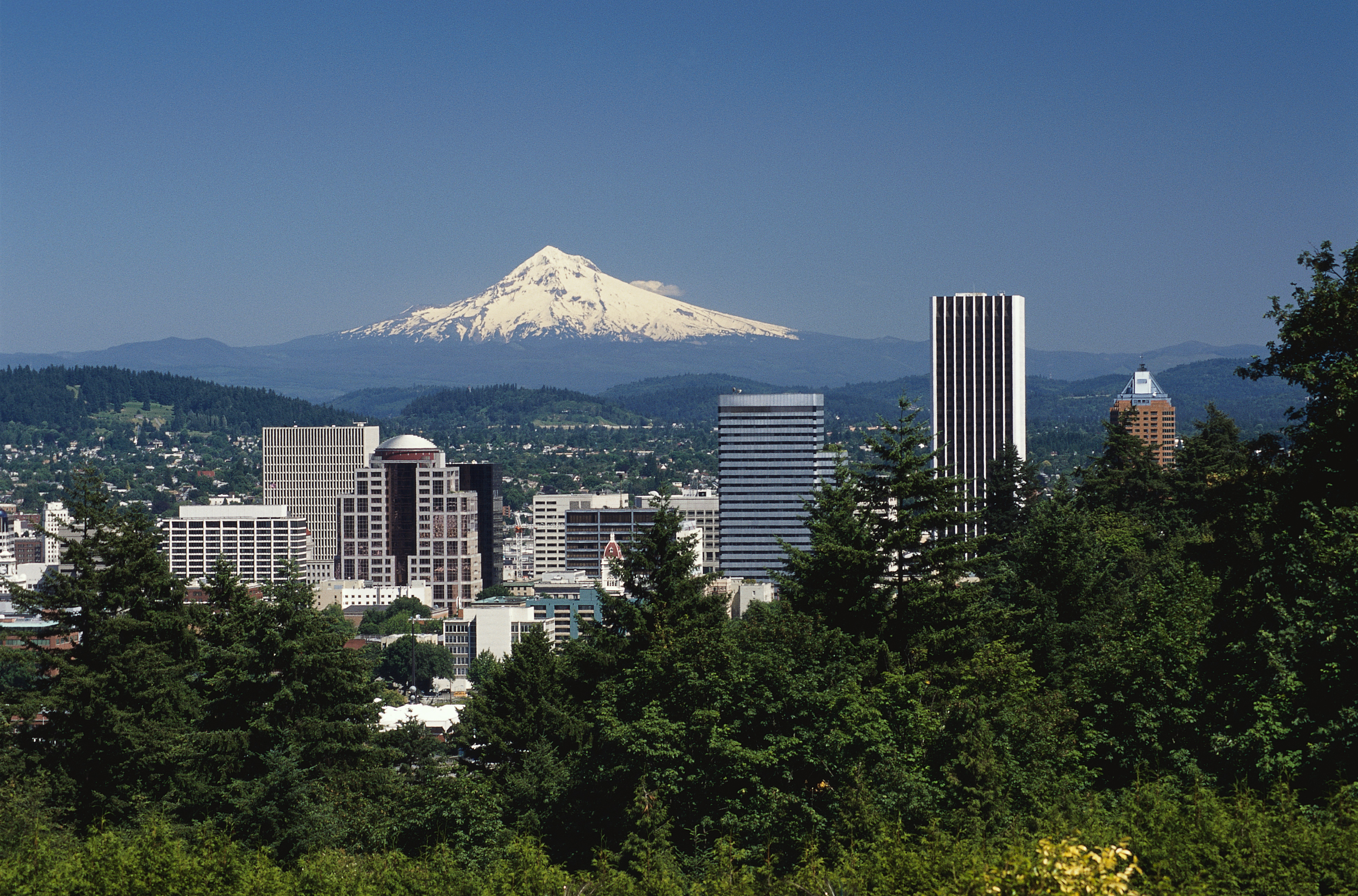 Seattle Skyline with Mount Rainier